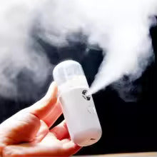 Mist Facial Steamer